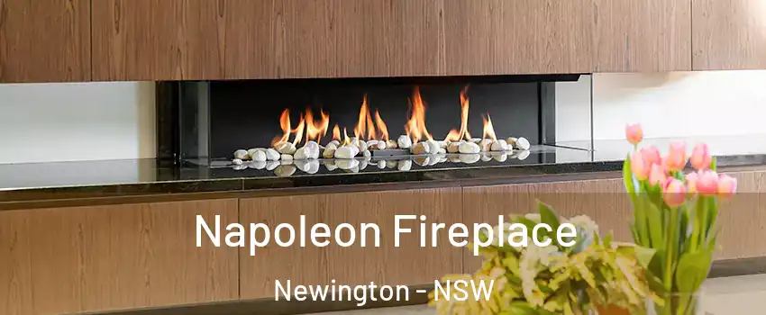 Napoleon Fireplace Newington - NSW