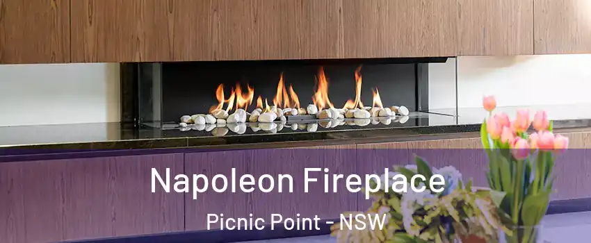 Napoleon Fireplace Picnic Point - NSW