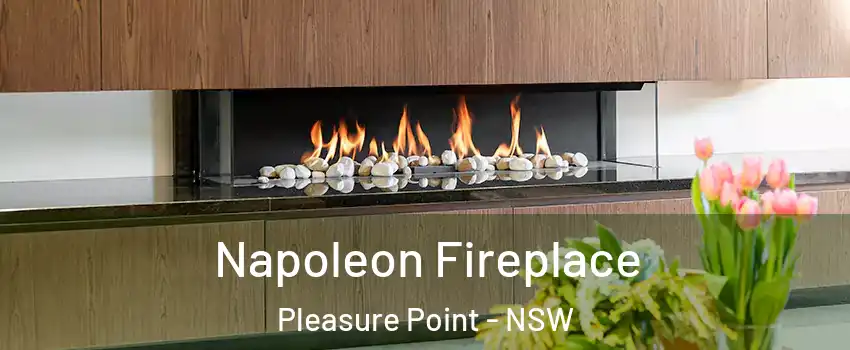 Napoleon Fireplace Pleasure Point - NSW