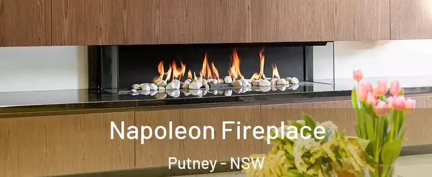 Napoleon Fireplace Putney - NSW