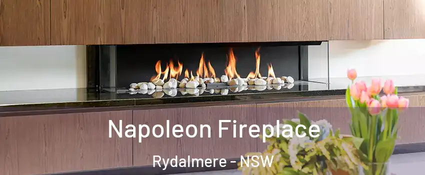 Napoleon Fireplace Rydalmere - NSW