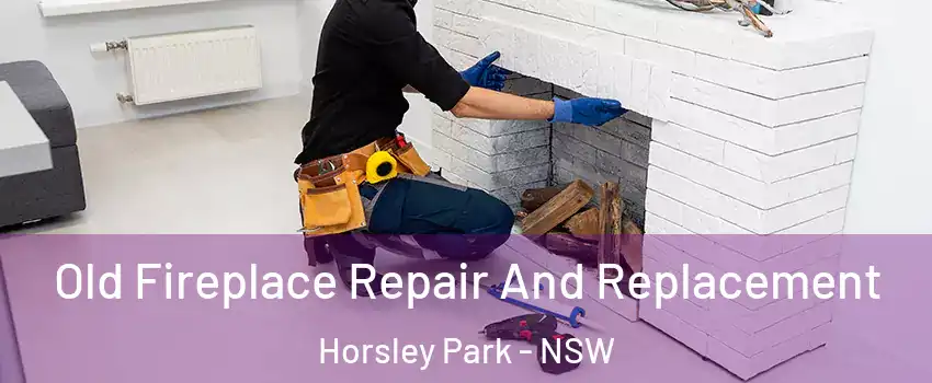 Old Fireplace Repair And Replacement Horsley Park - NSW
