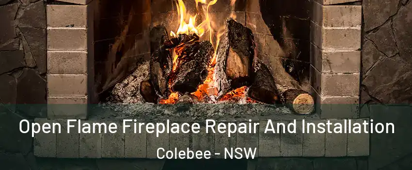 Open Flame Fireplace Repair And Installation Colebee - NSW
