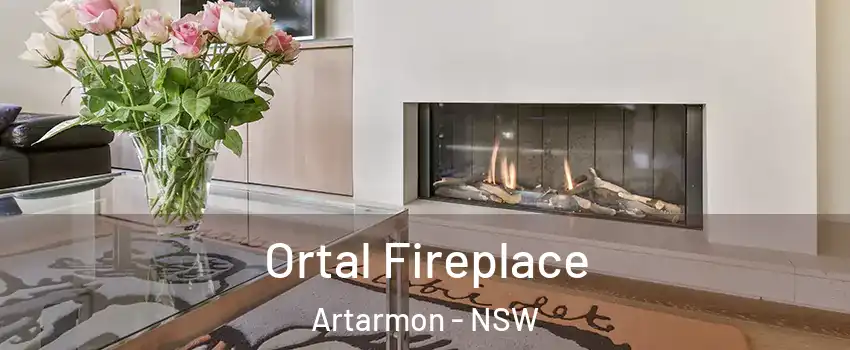Ortal Fireplace Artarmon - NSW