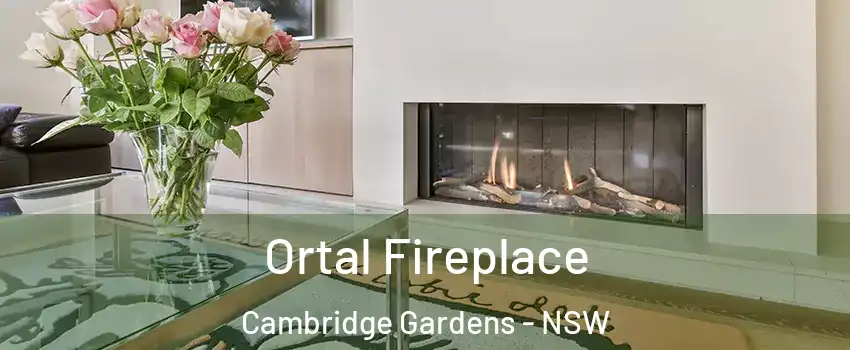 Ortal Fireplace Cambridge Gardens - NSW