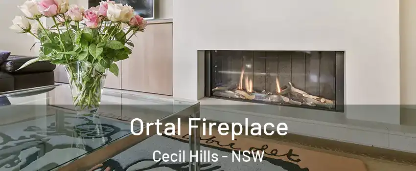 Ortal Fireplace Cecil Hills - NSW