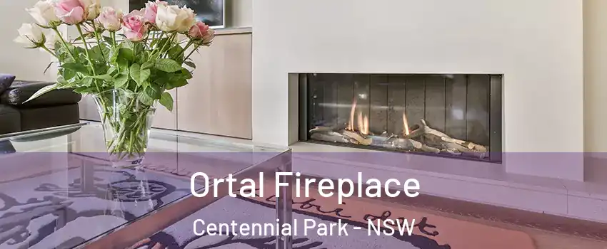Ortal Fireplace Centennial Park - NSW