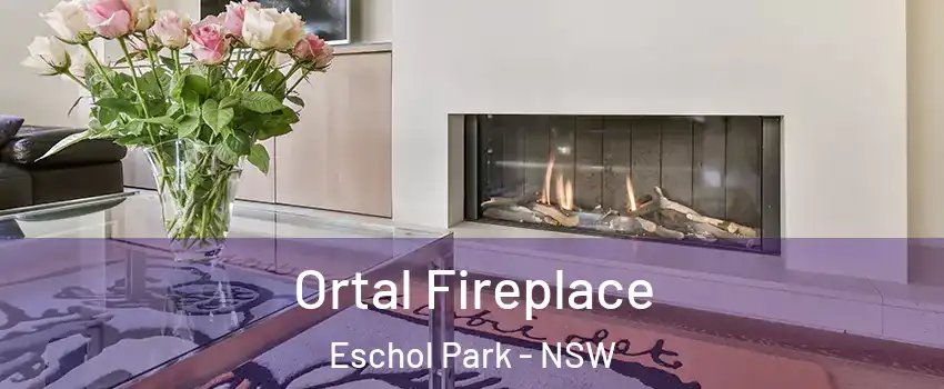 Ortal Fireplace Eschol Park - NSW