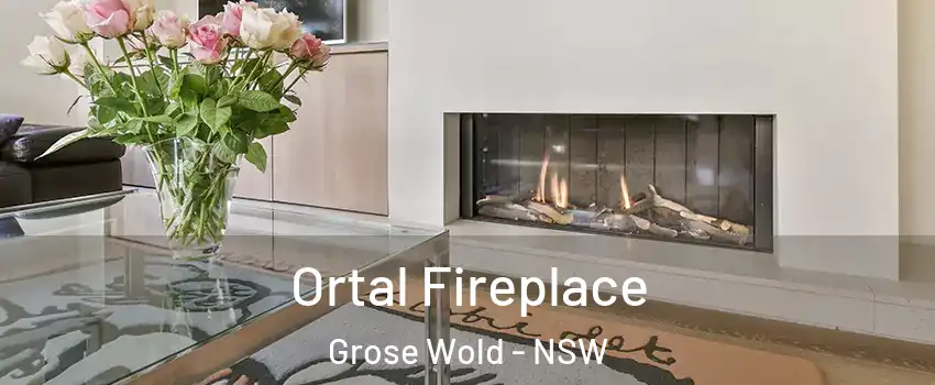 Ortal Fireplace Grose Wold - NSW