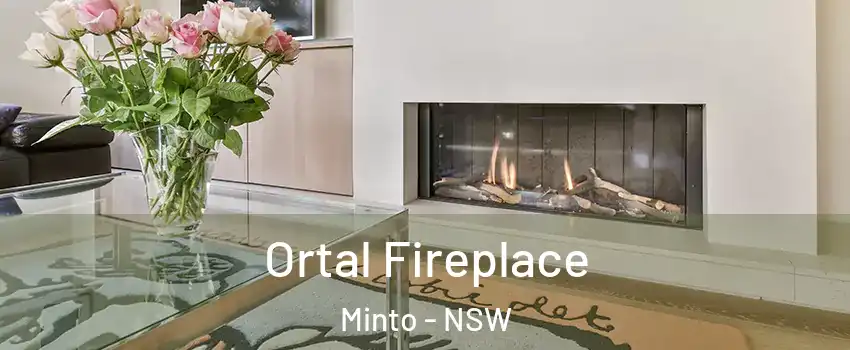 Ortal Fireplace Minto - NSW