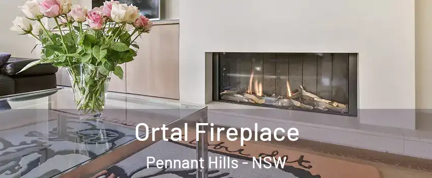 Ortal Fireplace Pennant Hills - NSW