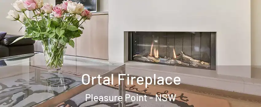 Ortal Fireplace Pleasure Point - NSW