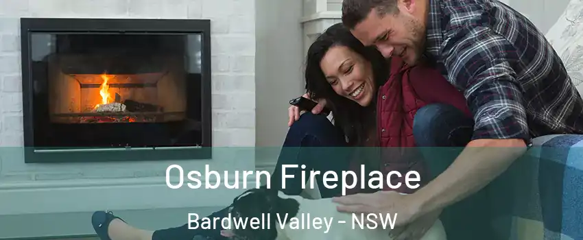 Osburn Fireplace Bardwell Valley - NSW