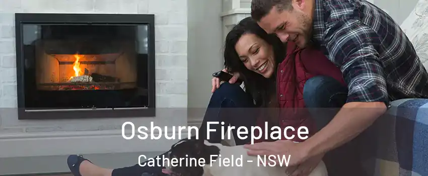 Osburn Fireplace Catherine Field - NSW
