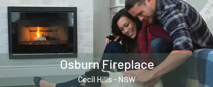 Osburn Fireplace Cecil Hills - NSW