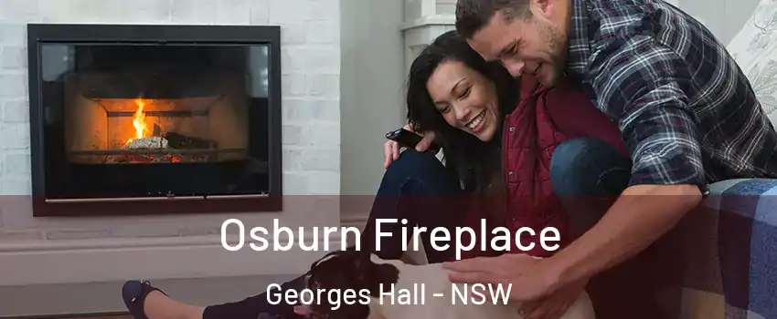 Osburn Fireplace Georges Hall - NSW