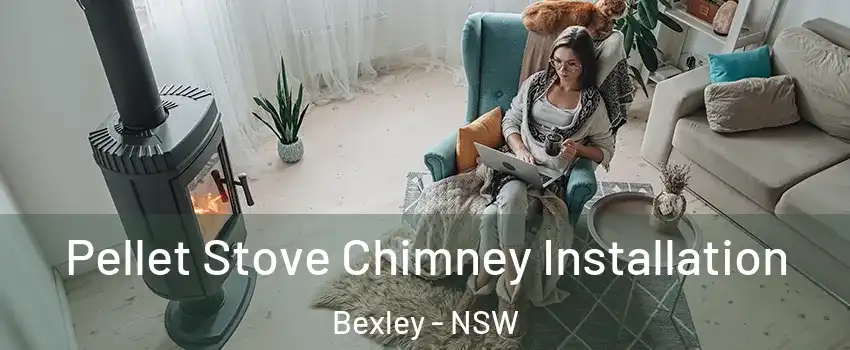 Pellet Stove Chimney Installation Bexley - NSW