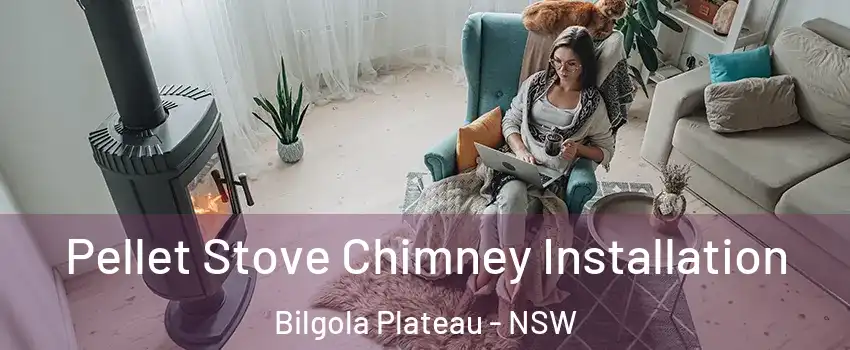 Pellet Stove Chimney Installation Bilgola Plateau - NSW