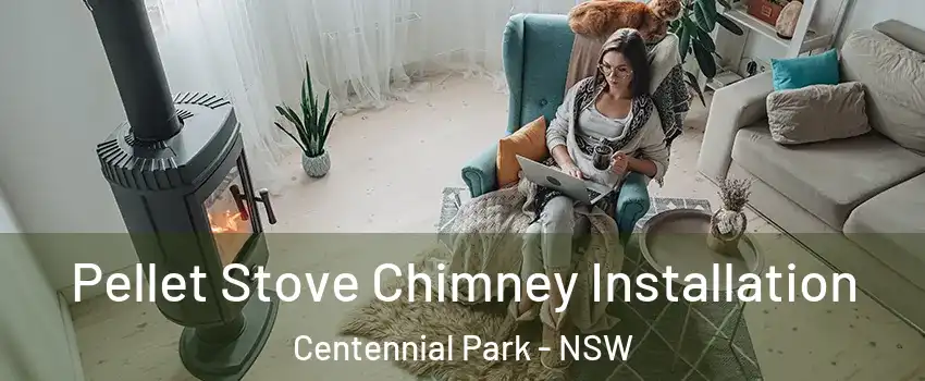 Pellet Stove Chimney Installation Centennial Park - NSW