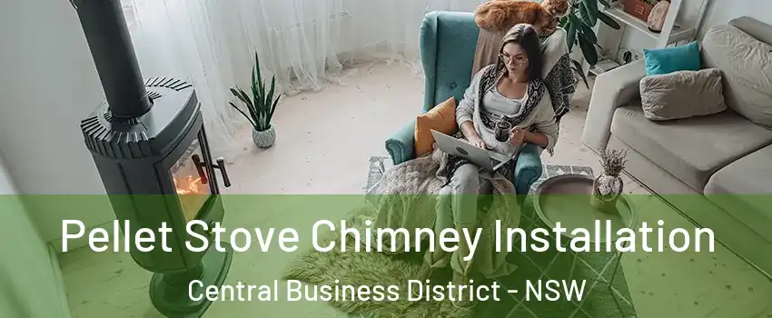 Pellet Stove Chimney Installation Central Business District - NSW