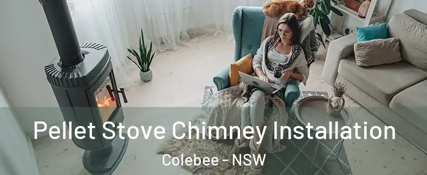 Pellet Stove Chimney Installation Colebee - NSW