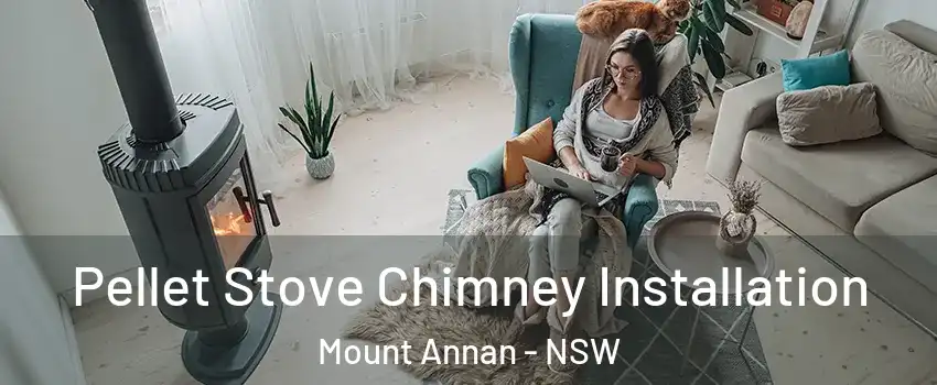 Pellet Stove Chimney Installation Mount Annan - NSW