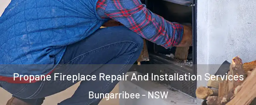 Propane Fireplace Repair And Installation Services Bungarribee - NSW