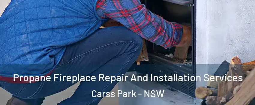Propane Fireplace Repair And Installation Services Carss Park - NSW