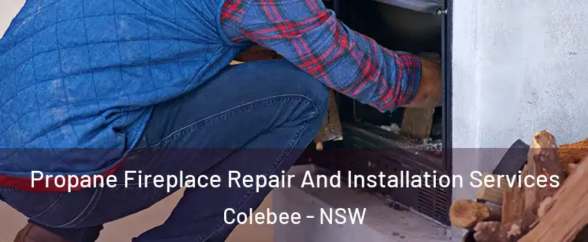 Propane Fireplace Repair And Installation Services Colebee - NSW
