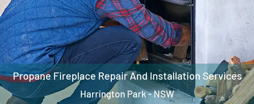 Propane Fireplace Repair And Installation Services Harrington Park - NSW