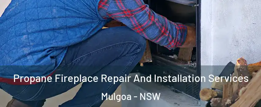 Propane Fireplace Repair And Installation Services Mulgoa - NSW