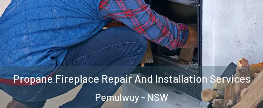 Propane Fireplace Repair And Installation Services Pemulwuy - NSW