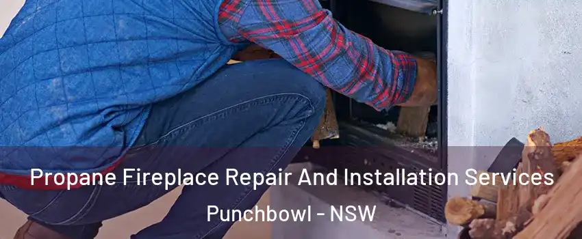 Propane Fireplace Repair And Installation Services Punchbowl - NSW