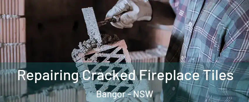 Repairing Cracked Fireplace Tiles Bangor - NSW