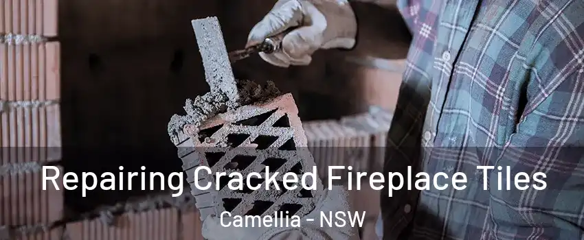 Repairing Cracked Fireplace Tiles Camellia - NSW