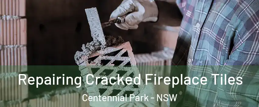  Repairing Cracked Fireplace Tiles Centennial Park - NSW