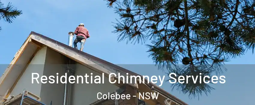 Residential Chimney Services Colebee - NSW