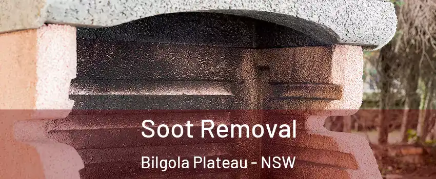 Soot Removal Bilgola Plateau - NSW