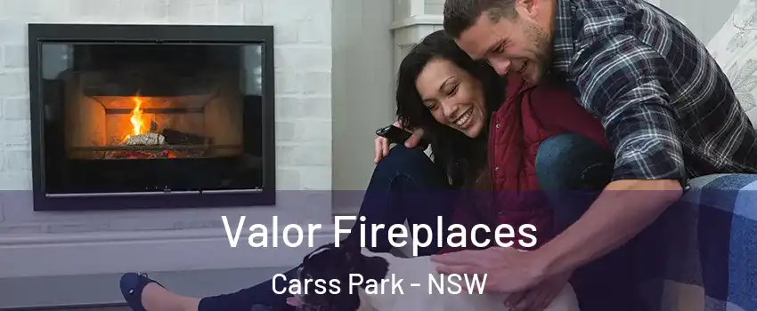Valor Fireplaces Carss Park - NSW