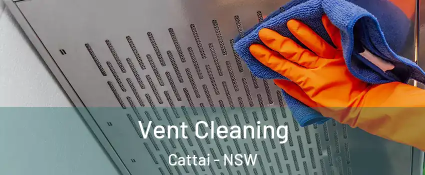 Vent Cleaning Cattai - NSW
