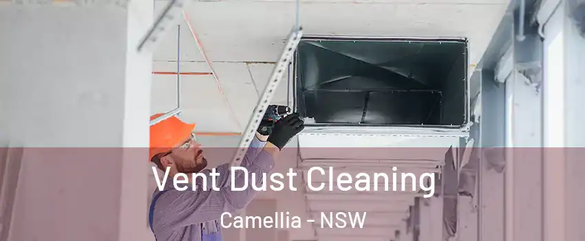 Vent Dust Cleaning Camellia - NSW