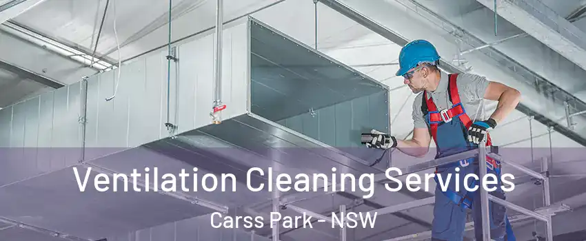 Ventilation Cleaning Services Carss Park - NSW
