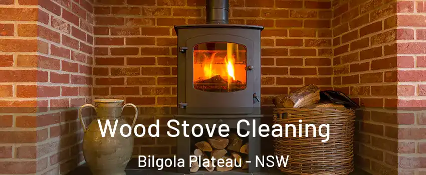 Wood Stove Cleaning Bilgola Plateau - NSW