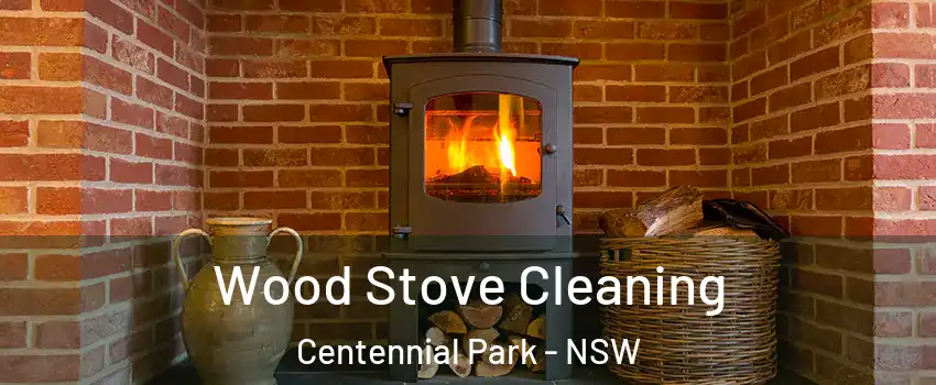 Wood Stove Cleaning Centennial Park - NSW